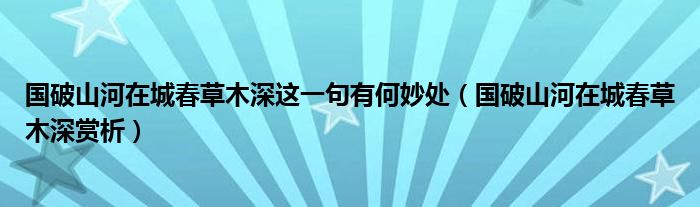 国破山河在城春草木深这一句有何妙处（国破山河在城春草木深赏析）