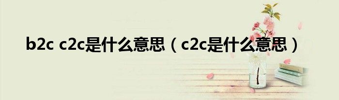 b2c c2c是什么意思（c2c是什么意思）