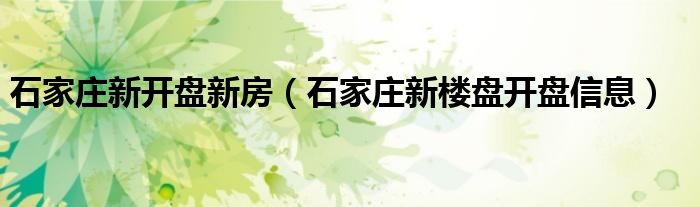 石家庄新开盘新房（石家庄新楼盘开盘信息）