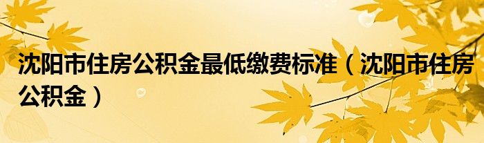 沈阳市住房公积金最低缴费标准（沈阳市住房公积金）