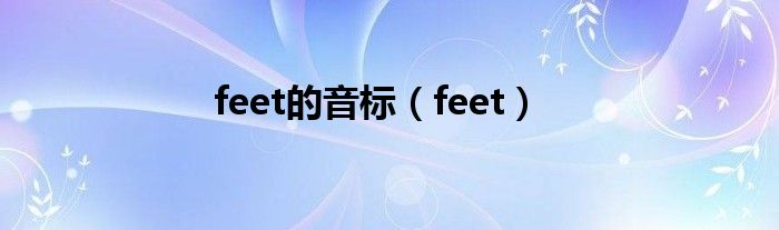 feet的音标（feet）