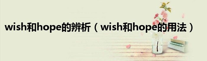 wish和hope的辨析（wish和hope的用法）