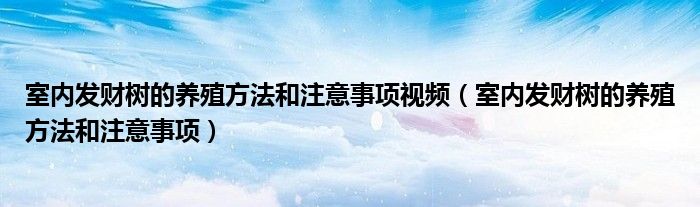 室内发财树的养殖方法和注意事项视频（室内发财树的养殖方法和注意事项）