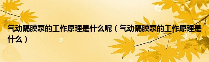 气动隔膜泵的工作原理是什么呢（气动隔膜泵的工作原理是什么）