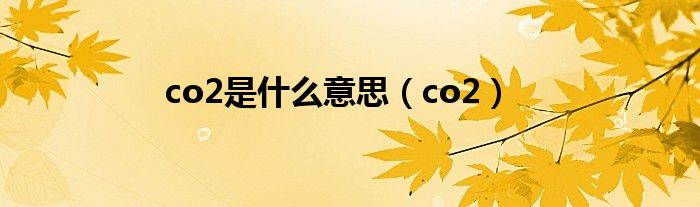 co2是什么意思（co2）