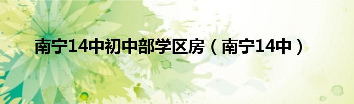 南宁14中初中部学区房（南宁14中）