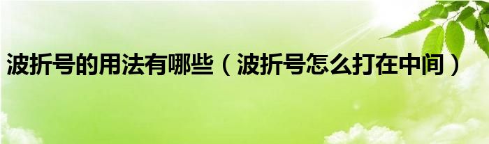 波折号的用法有哪些（波折号怎么打在中间）