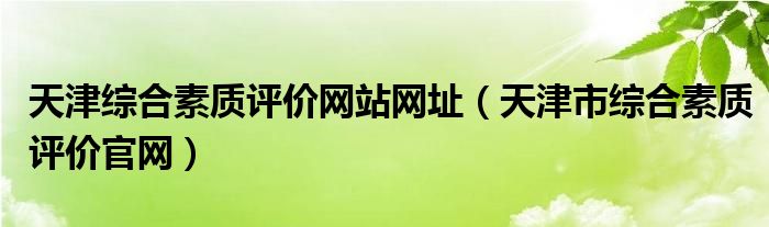 天津综合素质评价网站网址（天津市综合素质评价官网）