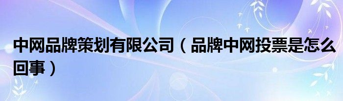 中网品牌策划有限公司（品牌中网投票是怎么回事）