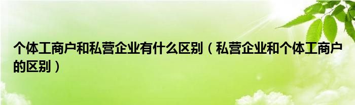 个体工商户和私营企业有什么区别（私营企业和个体工商户的区别）