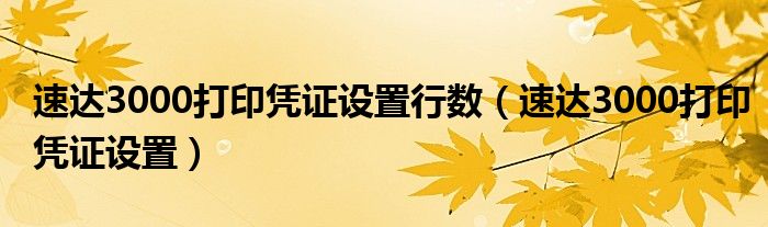 速达3000打印凭证设置行数（速达3000打印凭证设置）