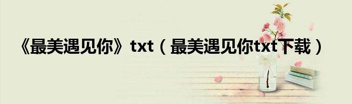 《最美遇见你》txt（最美遇见你txt下载）