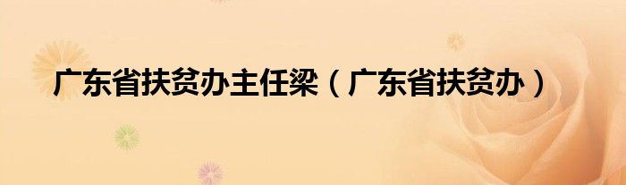 广东省扶贫办主任梁（广东省扶贫办）