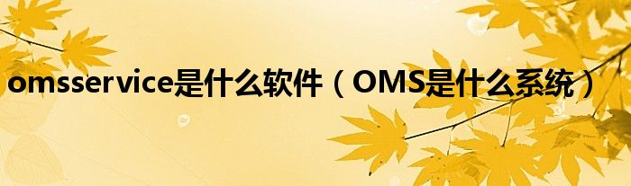 omsservice是什么软件（OMS是什么系统）