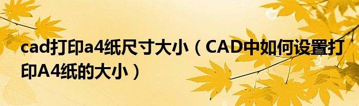 cad打印a4纸尺寸大小（CAD中如何设置打印A4纸的大小）