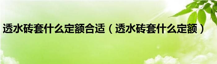 透水砖套什么定额合适（透水砖套什么定额）