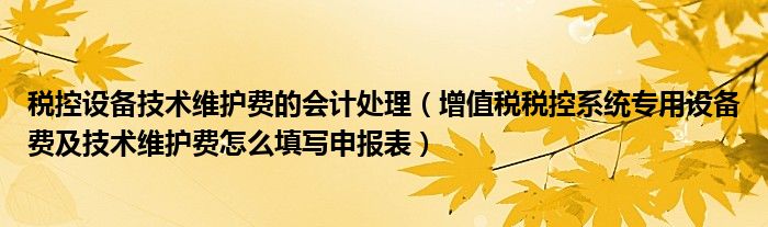 税控设备技术维护费的会计处理（增值税税控系统专用设备费及技术维护费怎么填写申报表）