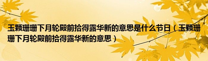 玉颗珊珊下月轮殿前拾得露华新的意思是什么节日（玉颗珊珊下月轮殿前拾得露华新的意思）