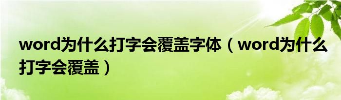 word为什么打字会覆盖字体（word为什么打字会覆盖）