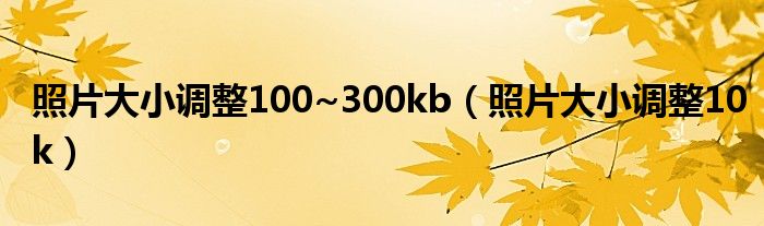 照片大小调整100~300kb（照片大小调整10k）