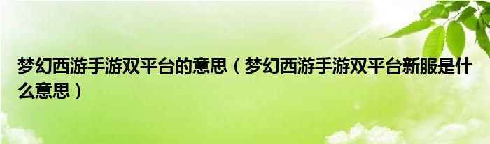 梦幻西游手游双平台的意思（梦幻西游手游双平台新服是什么意思）