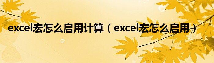 excel宏怎么启用计算（excel宏怎么启用）