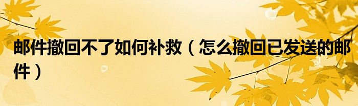 邮件撤回不了如何补救（怎么撤回已发送的邮件）