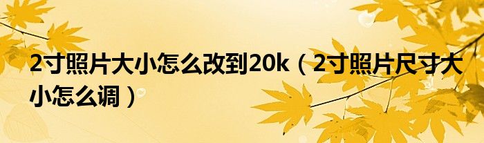 2寸照片大小怎么改到20k（2寸照片尺寸大小怎么调）