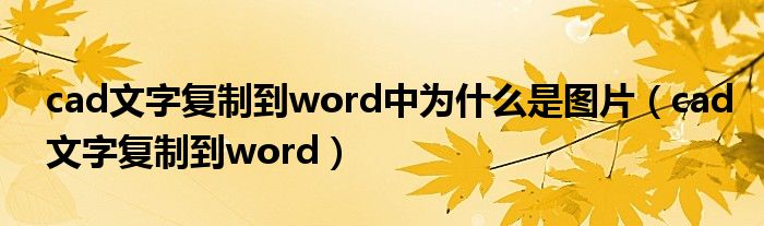 cad文字复制到word中为什么是图片（cad文字复制到word）