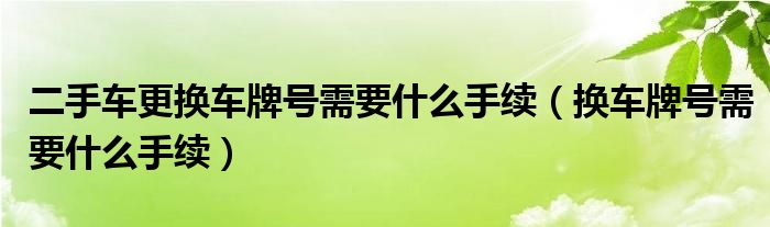 二手车更换车牌号需要什么手续（换车牌号需要什么手续）