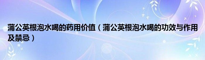 蒲公英根泡水喝的药用价值（蒲公英根泡水喝的功效与作用及禁忌）