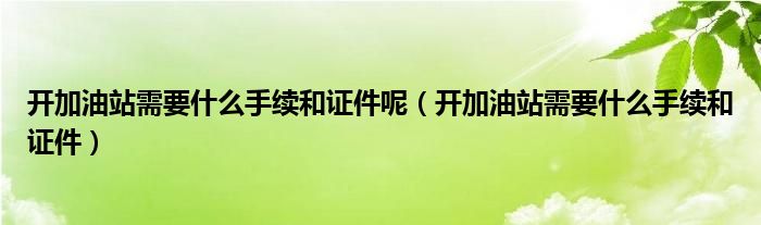 开加油站需要什么手续和证件呢（开加油站需要什么手续和证件）