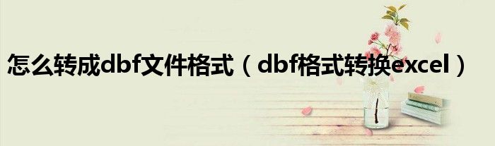 怎么转成dbf文件格式（dbf格式转换excel）