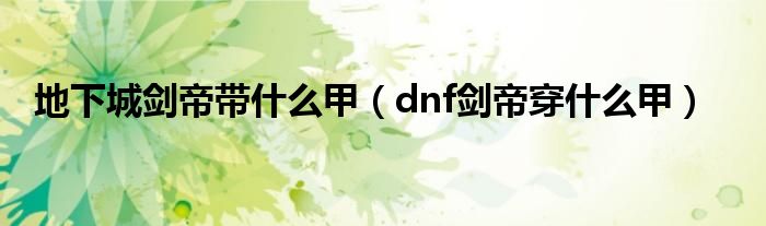 地下城剑帝带什么甲（dnf剑帝穿什么甲）