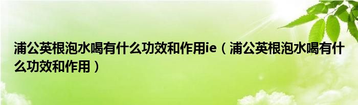 浦公英根泡水喝有什么功效和作用ie（浦公英根泡水喝有什么功效和作用）