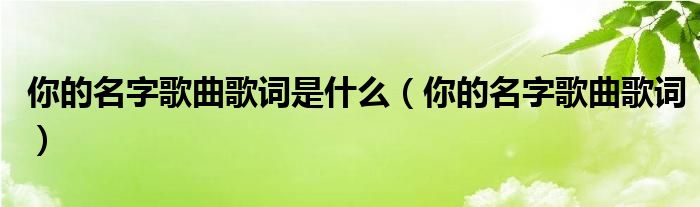 你的名字歌曲歌词是什么（你的名字歌曲歌词）