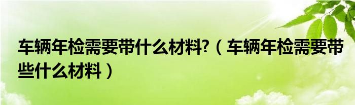 车辆年检需要带什么材料?（车辆年检需要带些什么材料）