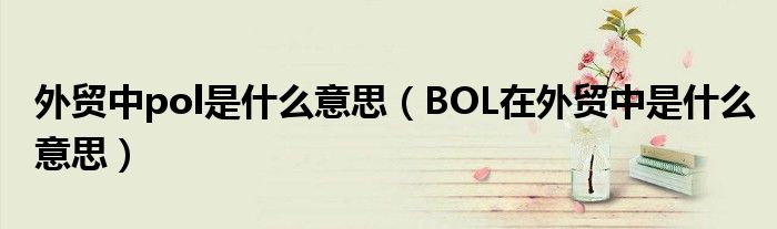 外贸中pol是什么意思（BOL在外贸中是什么意思）