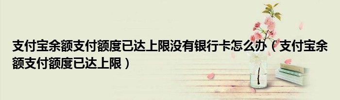 支付宝余额支付额度已达上限没有银行卡怎么办（支付宝余额支付额度已达上限）