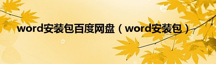 word安装包百度网盘（word安装包）