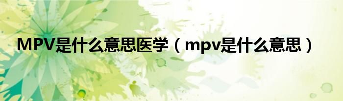 MPV是什么意思医学（mpv是什么意思）