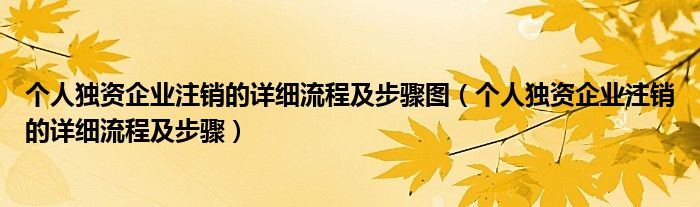 个人独资企业注销的详细流程及步骤图（个人独资企业注销的详细流程及步骤）