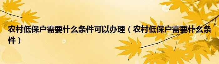 农村低保户需要什么条件可以办理（农村低保户需要什么条件）