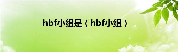 hbf小组是（hbf小组）