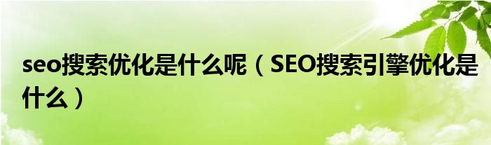 seo搜索优化是什么呢（SEO搜索引擎优化是什么）