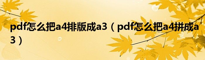 pdf怎么把a4排版成a3（pdf怎么把a4拼成a3）