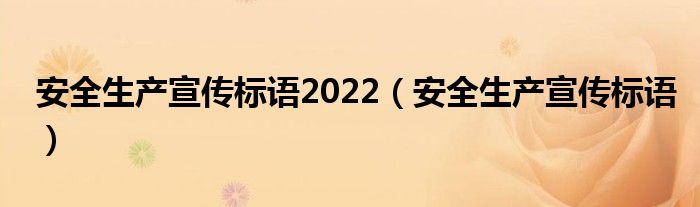 安全生产宣传标语2022（安全生产宣传标语）