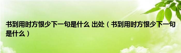 书到用时方恨少下一句是什么 出处（书到用时方恨少下一句是什么）