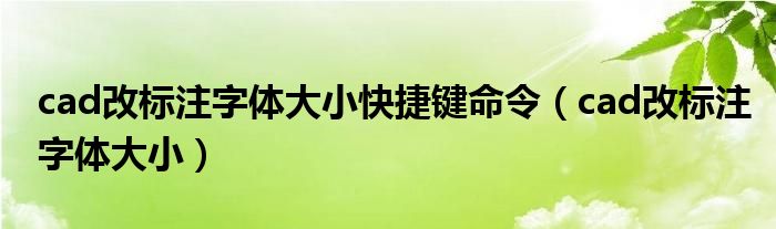 cad改标注字体大小快捷键命令（cad改标注字体大小）