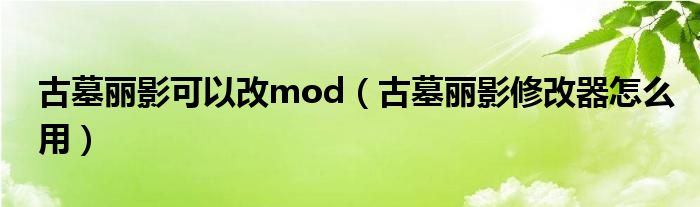 古墓丽影可以改mod（古墓丽影修改器怎么用）